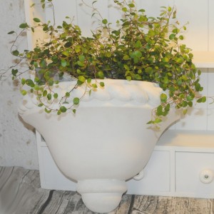 Blomster Væg Potte 20x30x15 cm Blomster Væg Potte 20x30x15 cm