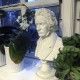 Beethoven 35 cm - Buste i marmor