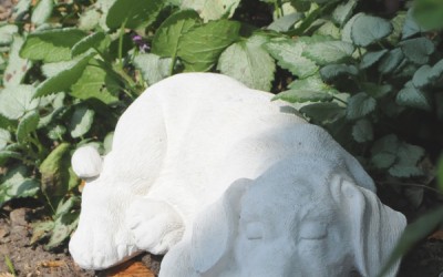 Haven er gået i hi - HAVE UDSALG