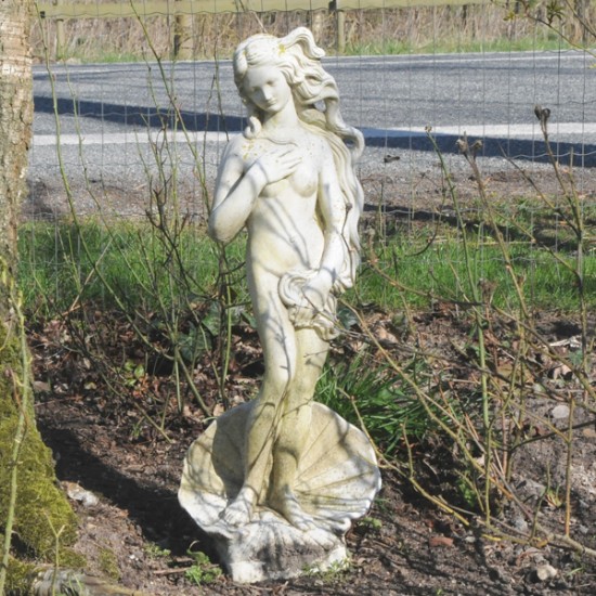 Venus af Botticelli H85cm - Flot Havefigur i marmor Venus af Botticelli H85cm - Flot Havefigur i marmor