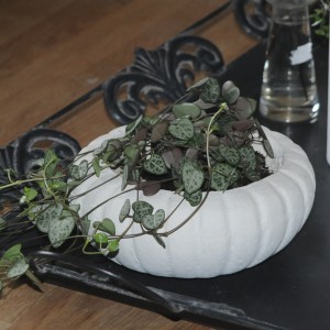 Lille rund blomster potte i marmor Ø: 16 cm