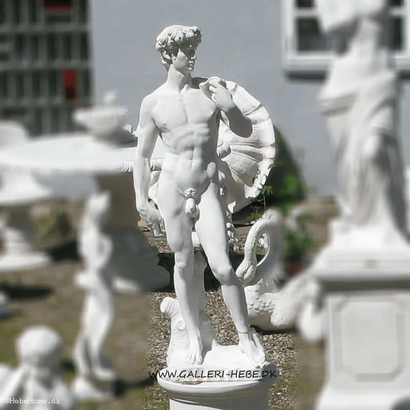 Erfaren person At bygge vagt marmor statue David 88 cm og andre havefigure