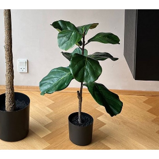 Violinfigen - kunstig plante 169cm