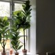 Stor kunstig grøn plante 120 cm