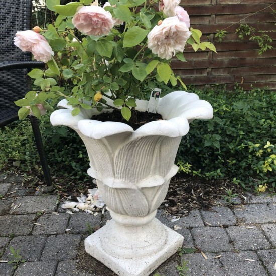 Frostsikker Blomster krukke med tulipanform H: 56 cm Frostsikker Blomster krukke med tulipanform H: 56 cm
