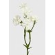 Kunstig Nellike Hvid - kunstig blomst Kunstig Nellike Hvid - kunstig blomst