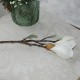 Hvid Magnolia 40cm - kunstig plante Hvid Magnolia 40cm - kunstig plante
