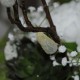 Hvid Magnolia 40cm - kunstig plante Hvid Magnolia 40cm - kunstig plante