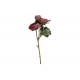 Blomstergren Ranukel Bordeaux 32 cm - Kunstig Blomst