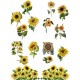 Transfer Sunflowers ca 62 x 81 cm