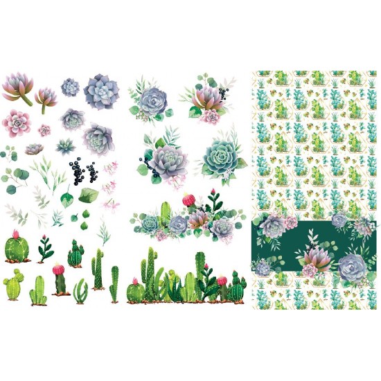 Transfer Cacti & Succulents ca 65 x 98 cm