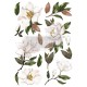 Decor Transfer magnolia blomster 60x88 Magnolia