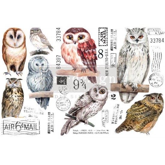Decor Transfers Owls 15 x 30 cm