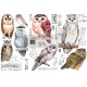 Decor Transfers Owls 15 x 30 cm