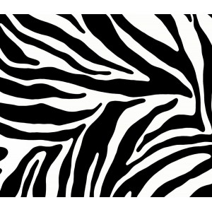 Folie Lenco deco Zebra 45cmx2m