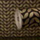 Folie Lenco deco Vanity 45cmx2m Folie Lenco deco Vanity 45cmx2m