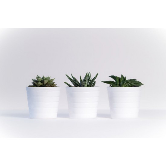Folie Lenco deco White mat 67,5cmx2m Folie Lenco deco White mat 67,5cmx2m