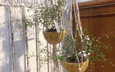 Havehjørne i gule og hvide toner